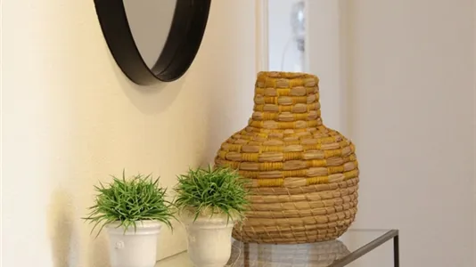 Apartments in Basel-Stadt - photo 4