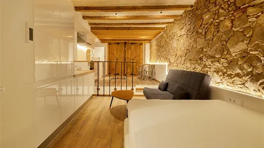 Apartments in Barcelona Ciutat Vella - photo 5