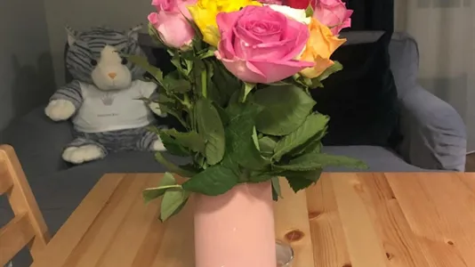 Apartments in Amsterdam Oud-Zuid - photo 2