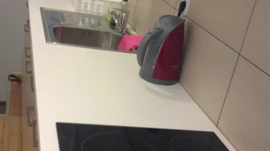 Rooms in Hoče-Slivnica - photo 6