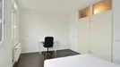 Room for rent, Rotterdam, Kobelaan