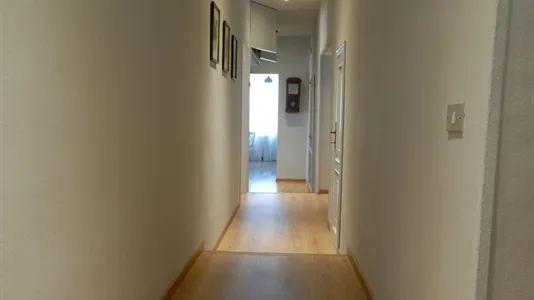 Apartments in Siena - photo 4