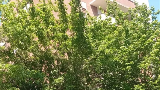 Apartments in Roma Municipio IV – Tiburtino - photo 7