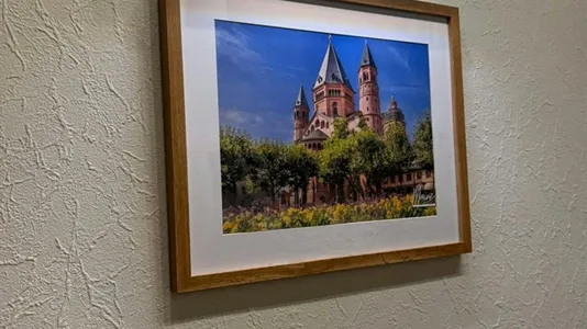 Apartments in Mainz - photo 5