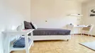 Room for rent, Trento, Trentino-Alto Adige, &lt;span class=&quot;blurred street&quot; onclick=&quot;ProcessAdRequest(12090877)&quot;&gt;&lt;span class=&quot;hint&quot;&gt;See streetname&lt;/span&gt;[xxxxxxxxxxxxx]&lt;/span&gt;