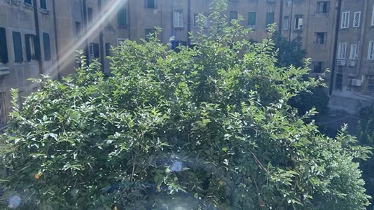 Rooms in Roma Municipio I – Centro Storico - photo 8