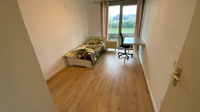 Room for rent in Rotterdam