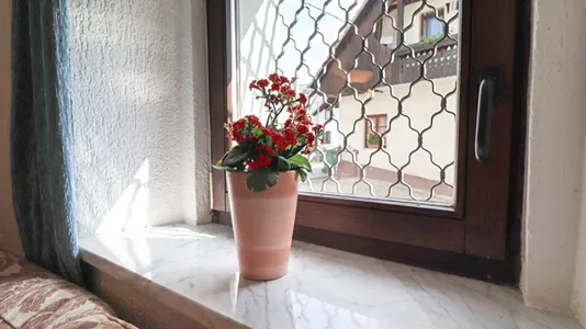 Apartments in Bled - photo 8