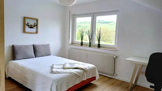 Apartments in Bergstraße - photo 7