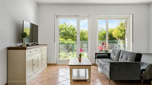 Apartments in Mannheim - photo 5