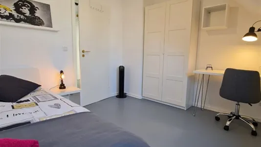 Rooms in Bonn - photo 4