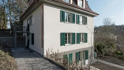 Apartment for rent in Zürich Distrikt 7, Zürich