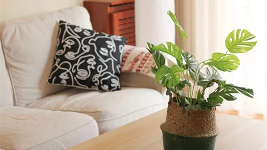 Rooms in Barcelona Eixample - photo 10