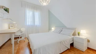 Room for rent in Padua, Veneto