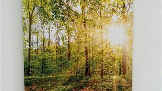 Apartments in Karlsruhe - photo 5