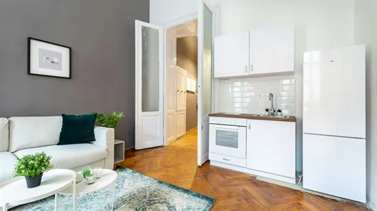 Apartments in Budapest Józsefváros - photo 5