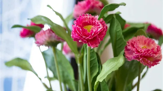 Rooms in Milano Zona 6 - Barona, Lorenteggio - photo 9