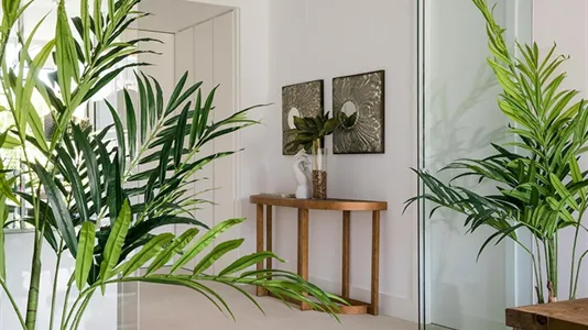 Apartments in Madrid ChamartĂn - photo 9