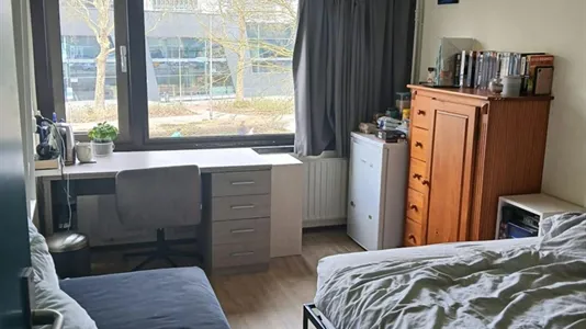 Rooms in Nijmegen - photo 3