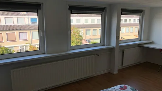 Rooms in Utrechtse Heuvelrug - photo 5