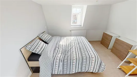 Houses in Lille - photo 3