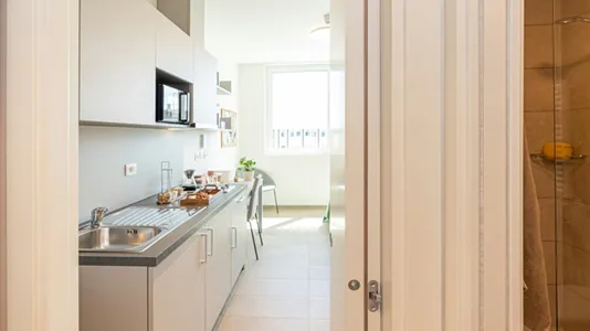 Apartments in Florence - photo 6