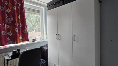 Room for rent in Rotterdam