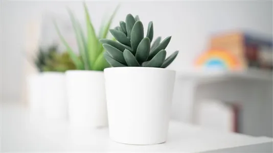 Rooms in Milano Zona 1 - Centro storico - photo 7