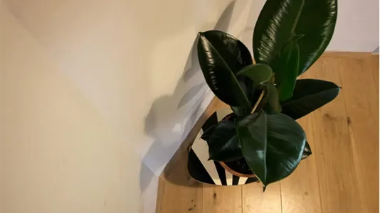 Apartments in Vienna Margareten - photo 7