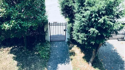 Rooms in Venice - photo 7