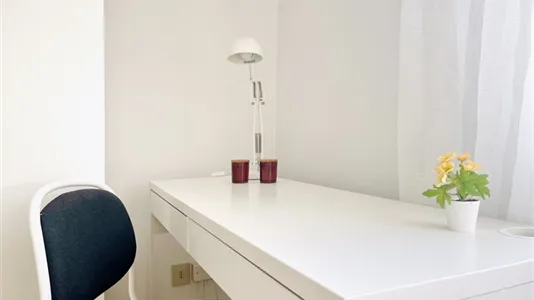 Rooms in Padua - photo 5