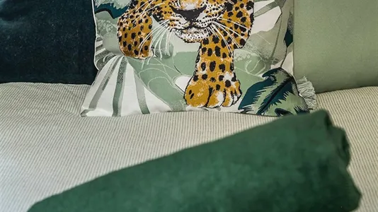 Rooms in Budapest Erzsébetváros - photo 5