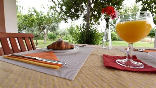 Apartments in Siracusa - photo 6