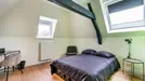 Room for rent, Bergen, Henegouwen, Rue des Soeurs Grises, Belgium