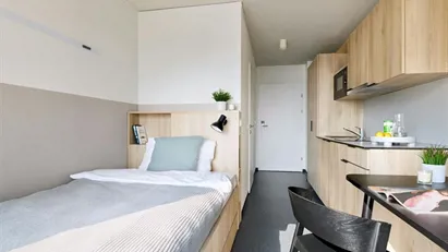 Apartment for rent in Vienna Donaustadt, Vienna