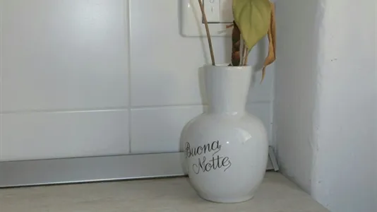 Rooms in Verona - photo 9