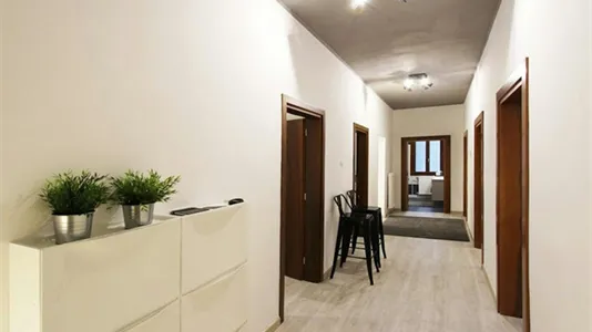 Rooms in Venice - photo 5