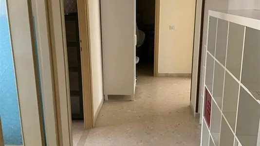 Rooms in Roma Municipio VIII – Appia Antica - photo 7