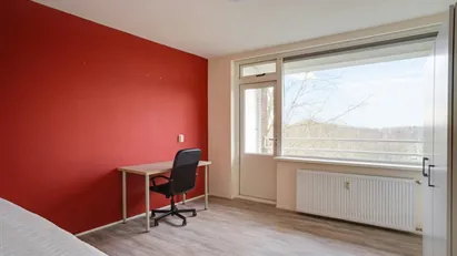 Room for rent in Rotterdam