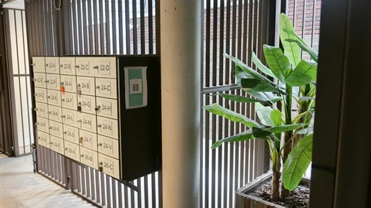 Apartments in Delft - photo 9