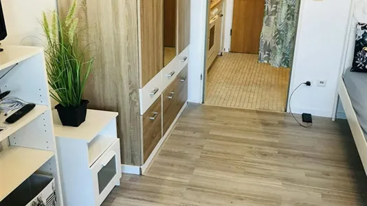 Apartments in Passau - photo 6