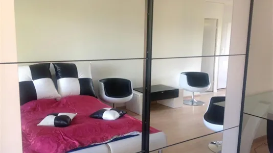 Apartments in Dielsdorf - photo 6