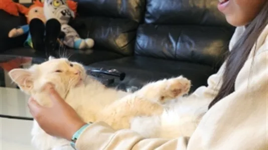 Rooms in Nacka - photo 9