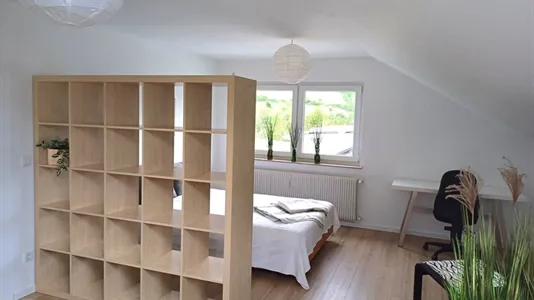 Apartments in Bergstraße - photo 4