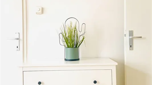 Apartments in Wien Ottakring - photo 4