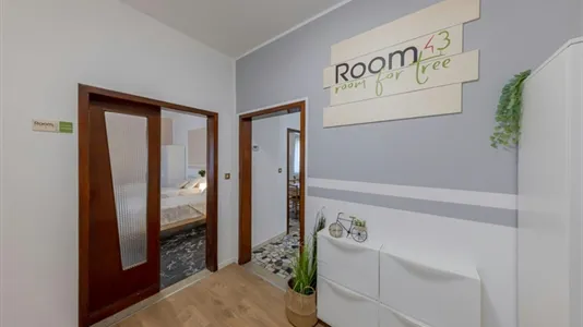 Rooms in Padua - photo 4