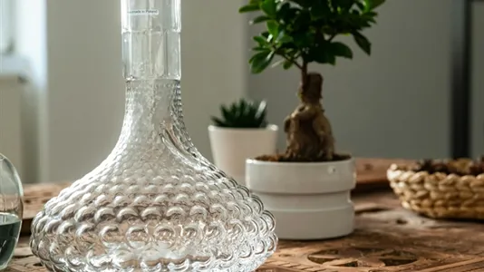 Apartments in Wien Wieden - photo 6