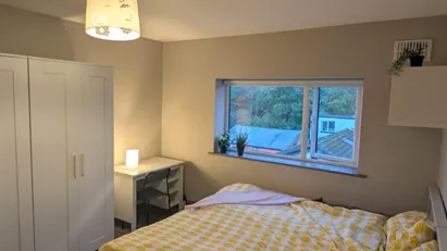 Room for rent in Dublin (county)