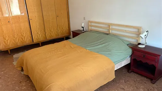 Apartments in Antwerp Deurne - photo 5