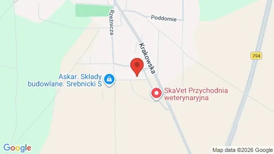 Apartments for rent in Krakowski - Photo from Google Street View